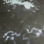 http://elk.lightizm.com/files/gimgs/th-76_71_Nostalgia1_v2.jpg