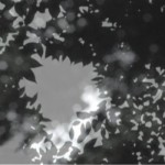 http://elk.lightizm.com/files/gimgs/th-76_71_Nostalgia2_v2.jpg